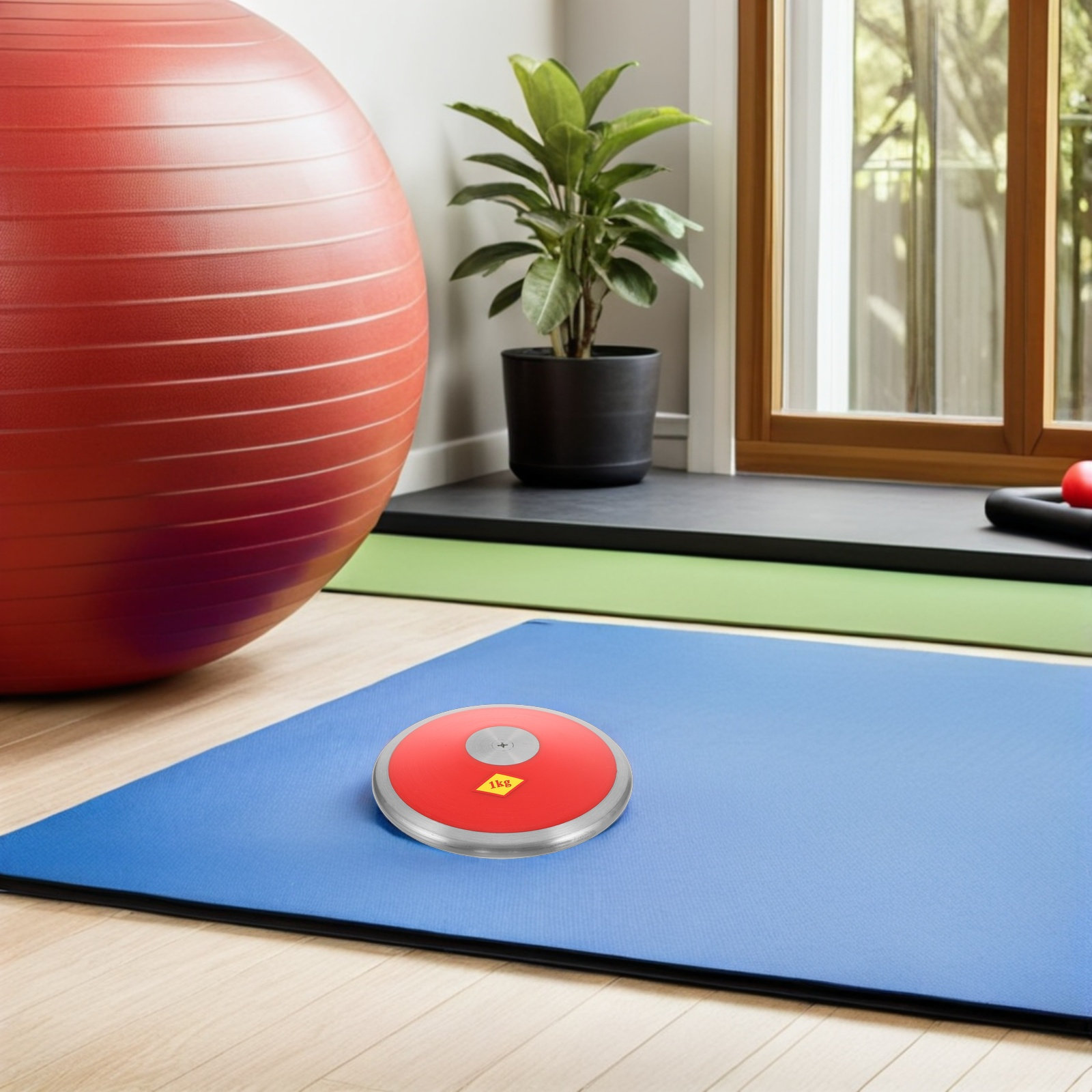 Sports Nylon Discus Track Trai - Discus Throw Training 评论和价格