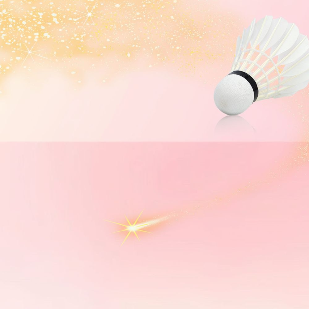 Goose Feather Badminton Shuttl - Sports Equipment In Flight 评论和价格