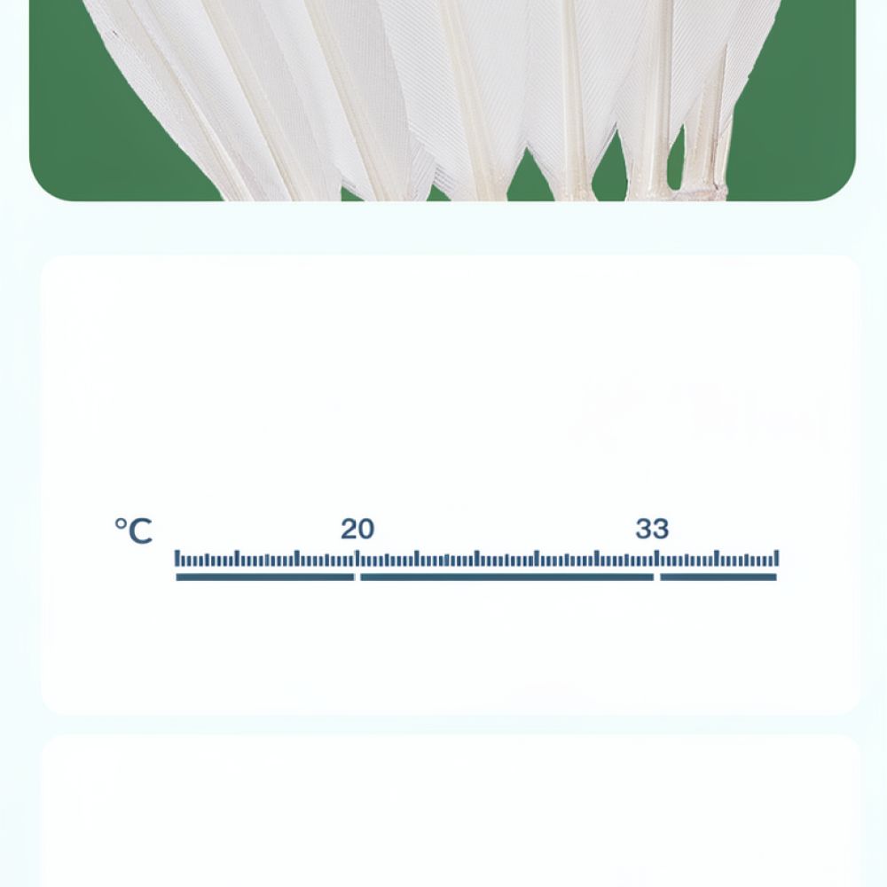 Goose Feather Badminton Shuttl - Sports Equipment In Flight 评论和价格