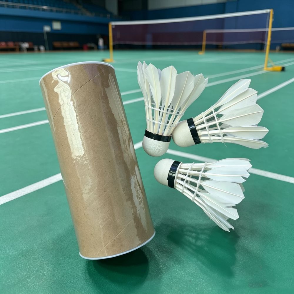 For Deerhui Badminton Shuttlec - Sports Equipment In Flight 评论和价格